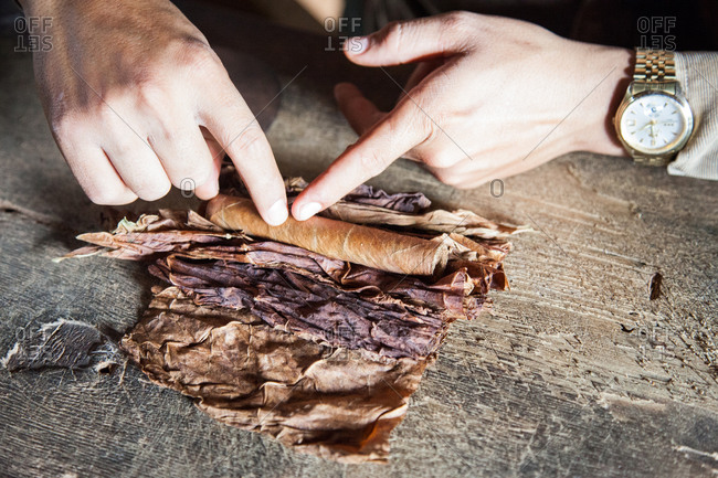 Person hand rolling a cigar