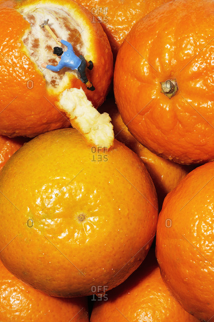 Toy mountain climber figure climbing oranges