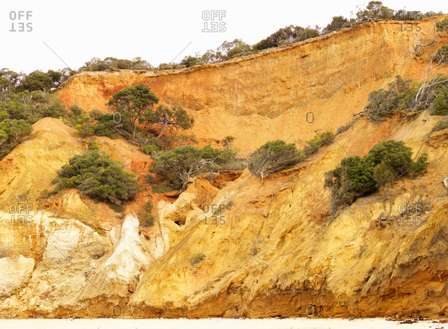 Eroded cliff and beach, Point Addis National Park, Anglesea, Australia