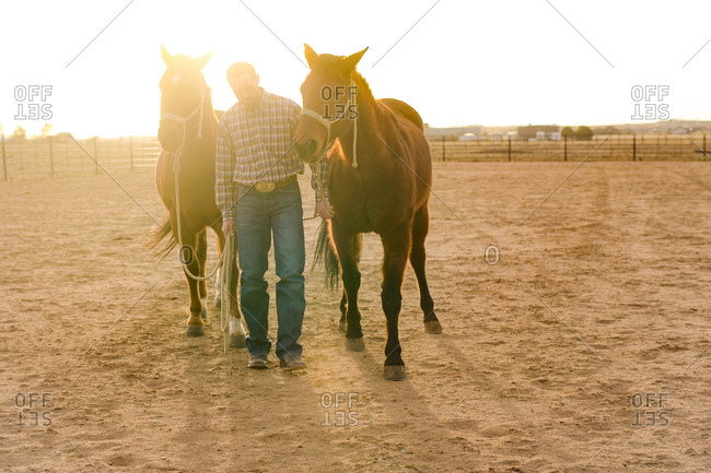 Man walking with horses on a ranch at sunset