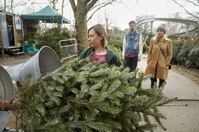 A staff member at a garden center feeding a Christmas tree into the netting machine to wrap it for the client