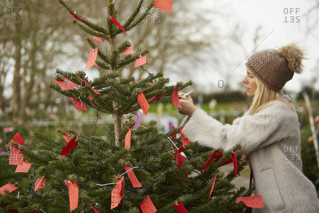 A woman reading handwritten red labels tied to the branches of a Christmas tree