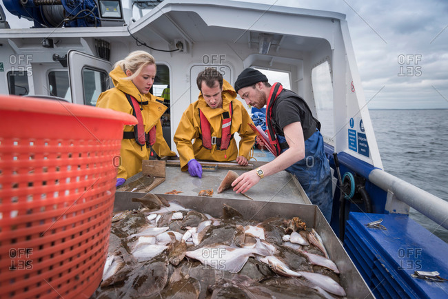 Scientists inspecting catch of fish on research ship