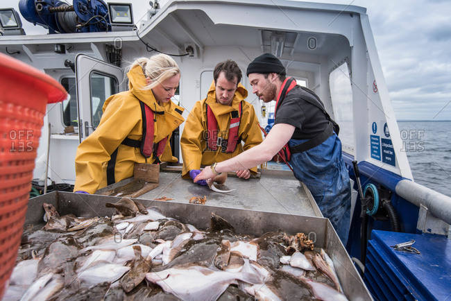Research scientists measuring fish on ship