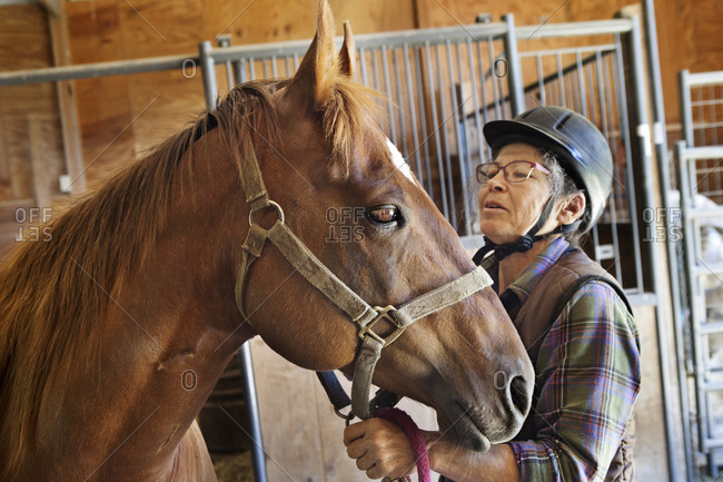 An older women wearing riding helmet holds a chestnut American Quarter Horse in horse barn.