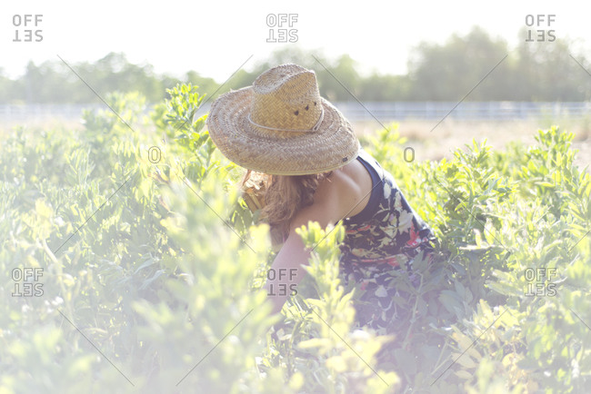 A young woman harvests vegetables for dinner, Ojai, California.
