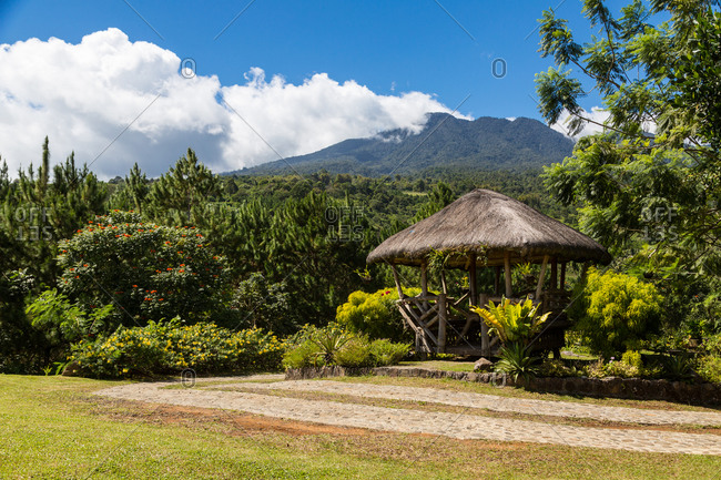 Grass hut in a beautiful tropical garden, Philippines