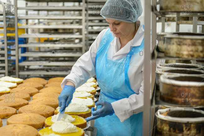 Female worker spreading filling on cakes in cake factory