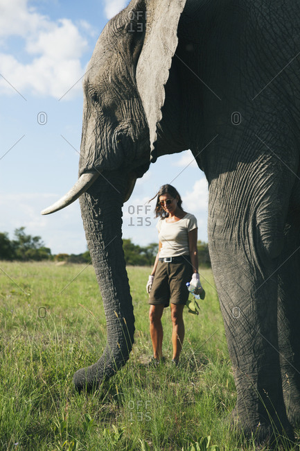 Woman with elephant in safari camp