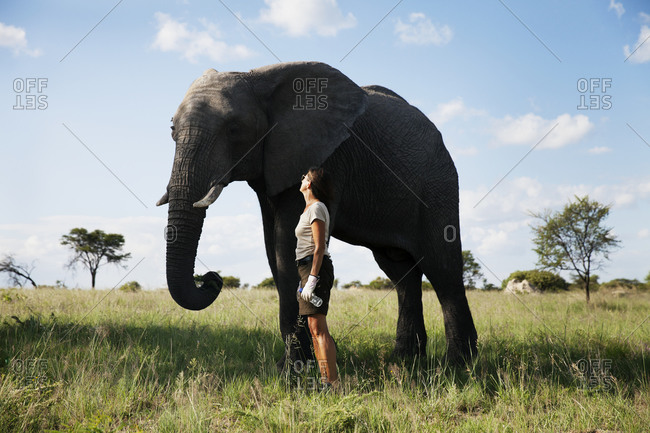Mature woman standing next to elephant