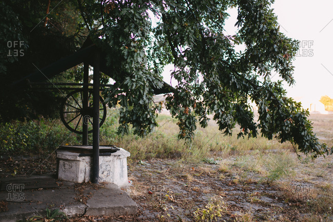 Old water well under a tree in the country