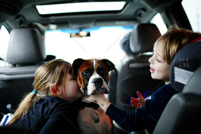 Boy and girl play with their dog in the backseat of their car during a family road trip