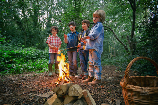 Four boys toasting marshmallows on campfire in forest