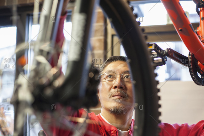 Pacific Islander man examining bicycle in shop