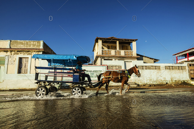 Horse pulling cart in puddle, Baracoa, Guantanamo, Cuba