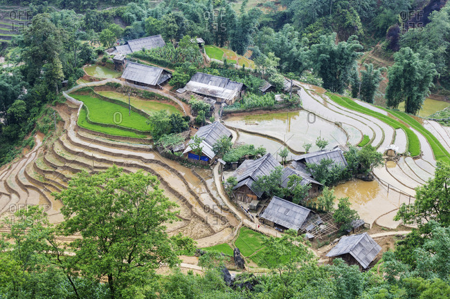 Aerial view of rice paddies and houses in rural landscape
