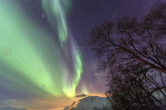 Northern Lights on the icy landscape of Svensby Lyngen Alps Tromso Lapland Norway Europe