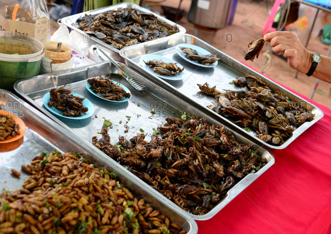 Snacks of insects in Bangkok, Thailand, Asia