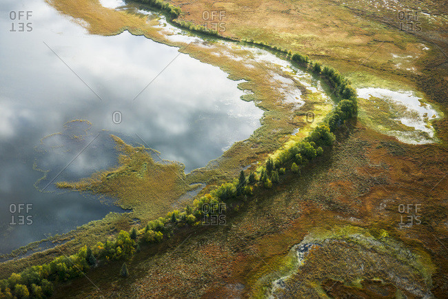 Aerial of a wall of trees that separate a lake and wetlands in the Kvichak River drainage, Bristol Bay region, Southwest Alaska