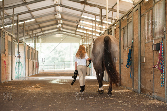 Girl leading her horse through an aisle at stables