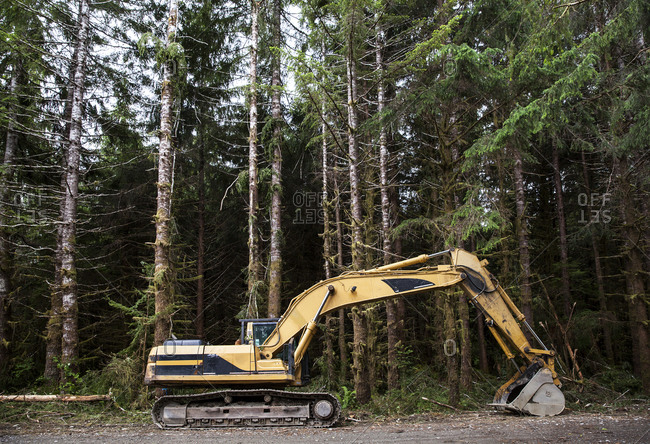 Industrial excavator parked near a forest