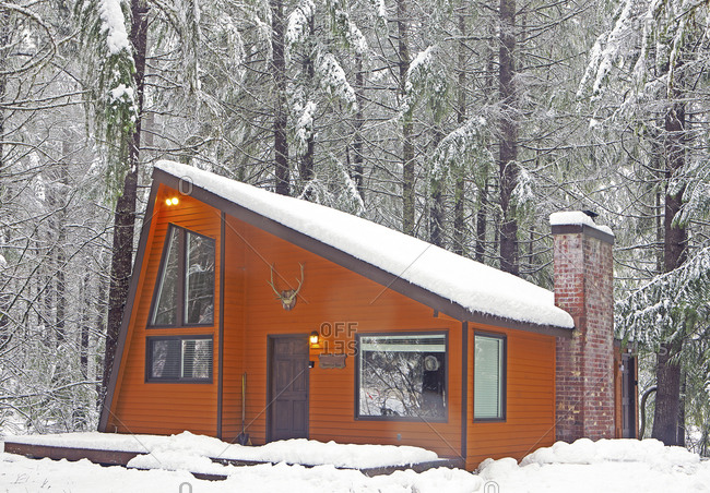 Modern wood cabin in snowy forest