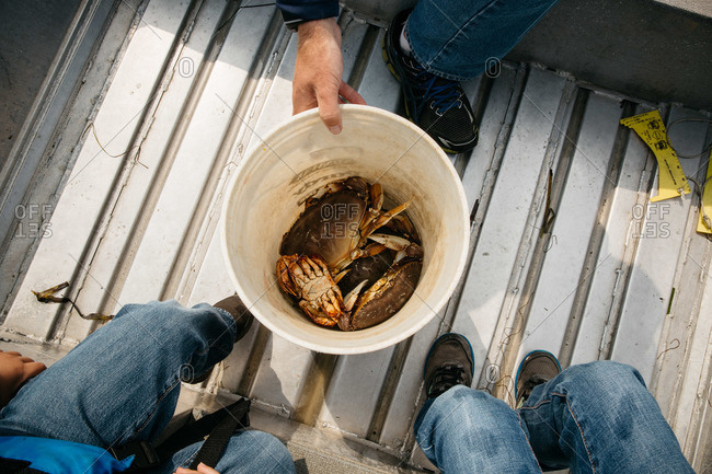 Overhead view of people sitting around a pickle bucket filled with crabs