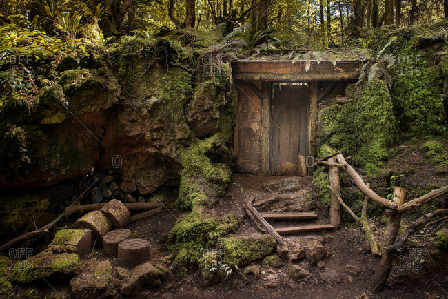 Entrance to mysterious hidden wood building in forest