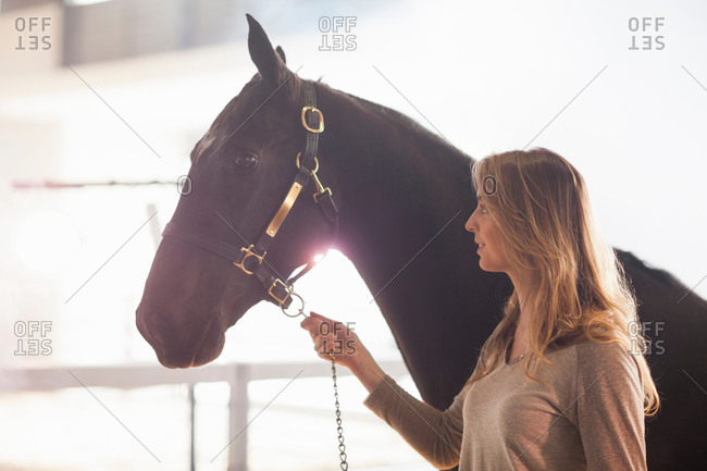 Young female stablehand leading nervous horse