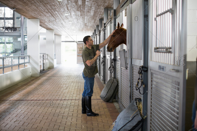 Male stablehand petting horse in stables