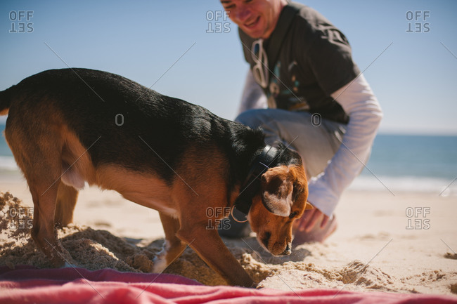 Man watching dog dig in sand