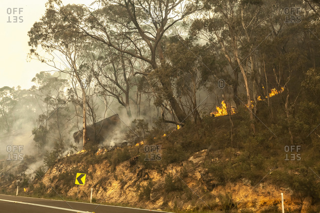 Bush fire, New South Wales, Australia