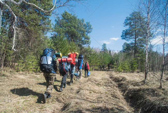 Rear view of young hikers with backpacks on forest track