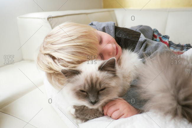 Cute three year old boy with eyes closed hugging cat on sofa