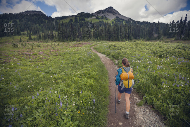 Hiking through Taylor Meadows in Garibaldi Provincial Park, British Columbia, Canada