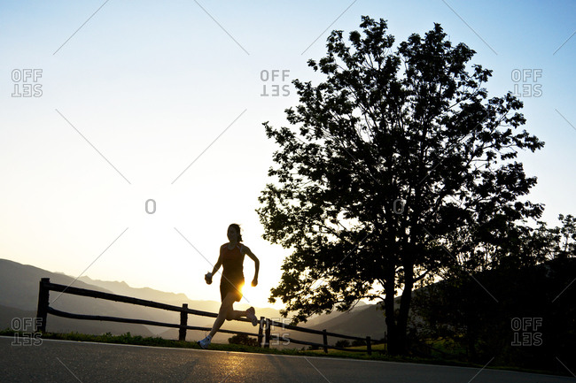 Lone road runner silhouetted at sunset