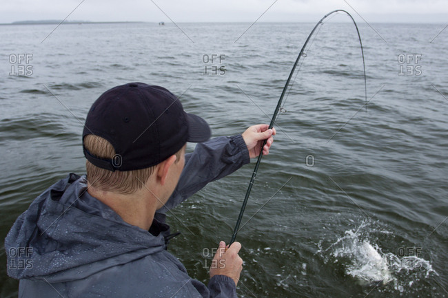 Fly Fishing for Striped bass in the Chesapeake Bay