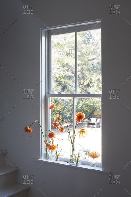 Flowers in a white home