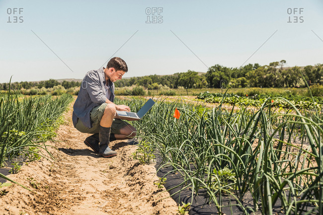 Side view of man crouching in vegetable garden using laptop computer