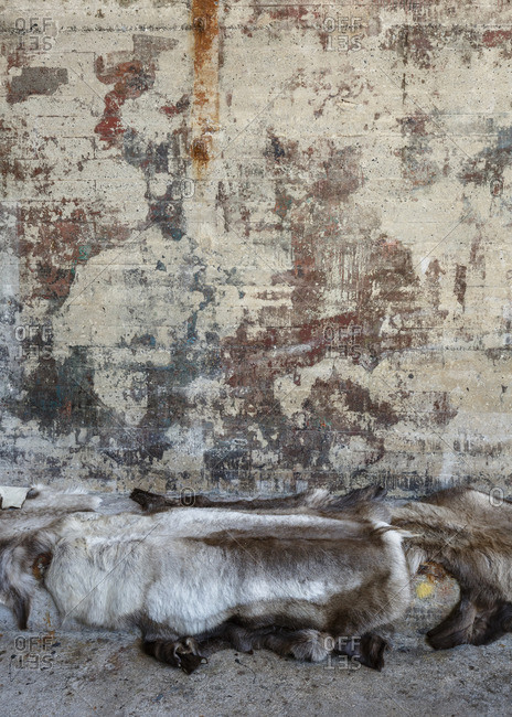 Animal hide covering a concrete bench
