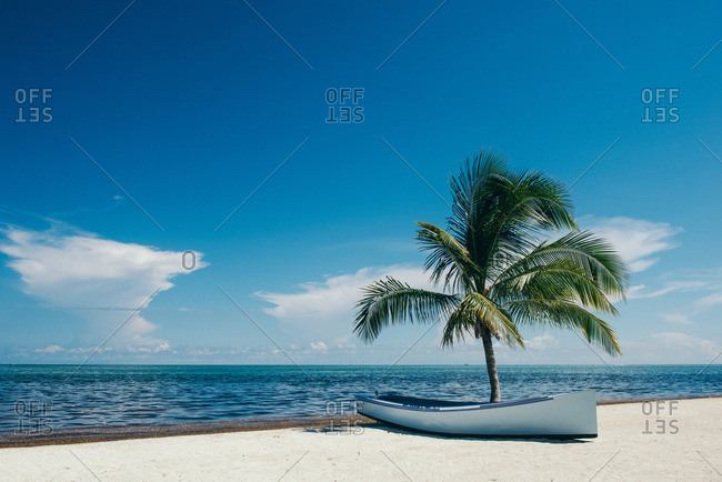 Beach with palm trees, Florida Keys, Florida, USA