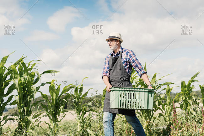 Low angle view of mature gardener carrying crate at farm against sky
