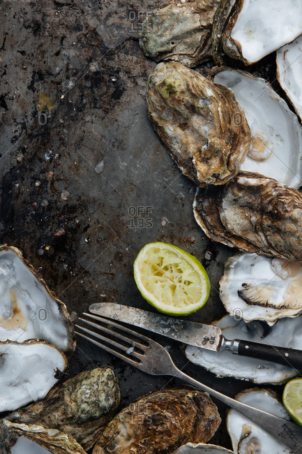 Eaten oysters, empty shells and limes on a vintage tin pan