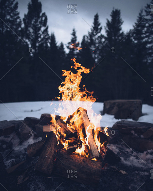 Bonfire in a snowy forest