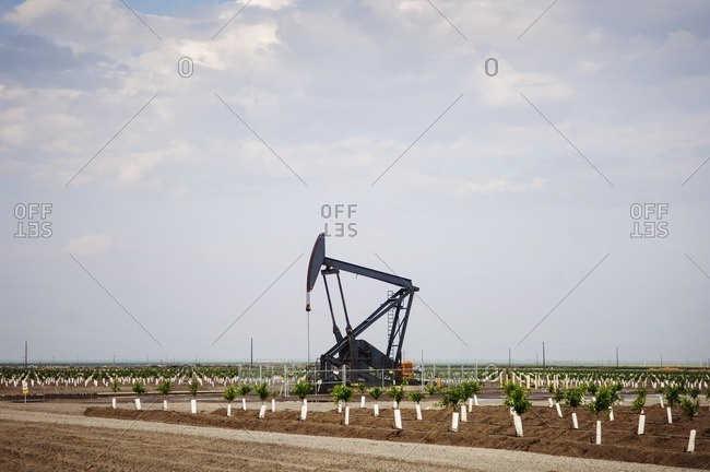 Oil pump on agricultural field against sky