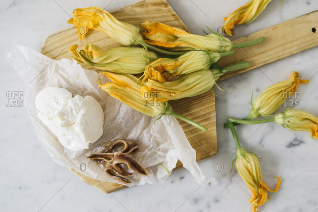 Overhead view of squash blossoms