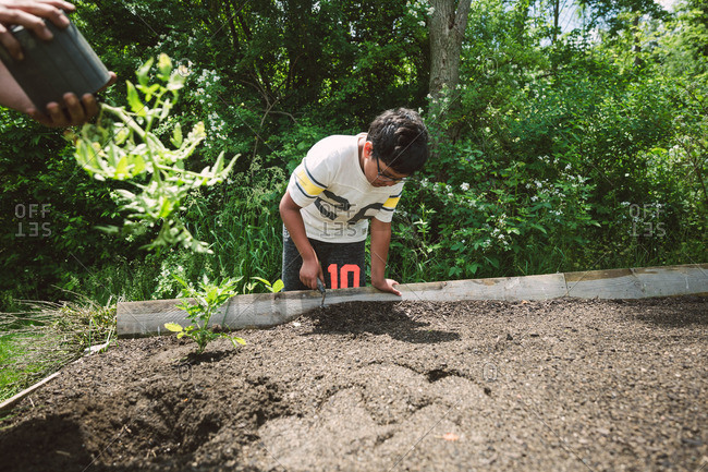 Boy digging with a spade in a raised bed garden