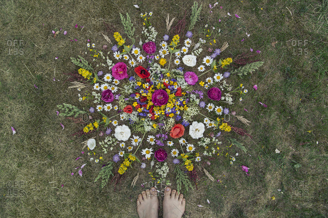 Flowers forming circle by feet