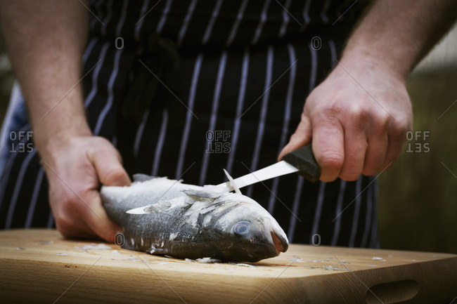 Close up of a chef scaling a fish