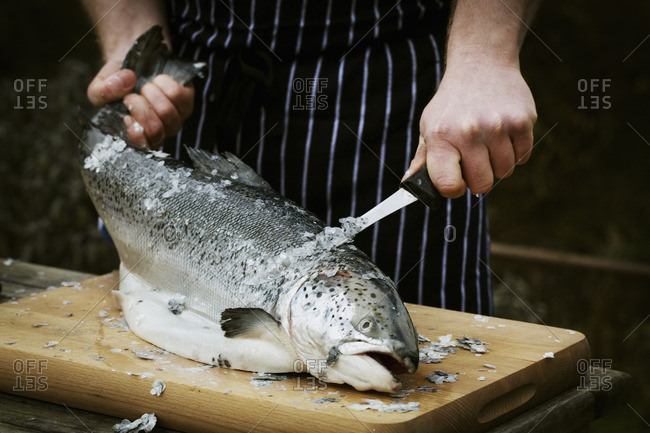Close up of a chef scaling a fresh fish